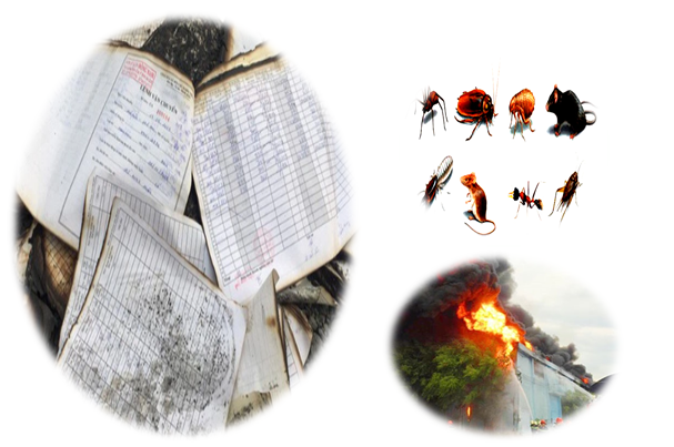 Hồ sơ hư hỏng do cháy nổ , con trùng đục khoét